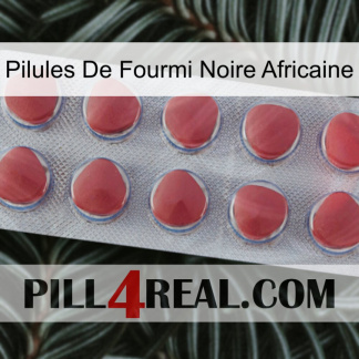 African Black Ant Pills 18